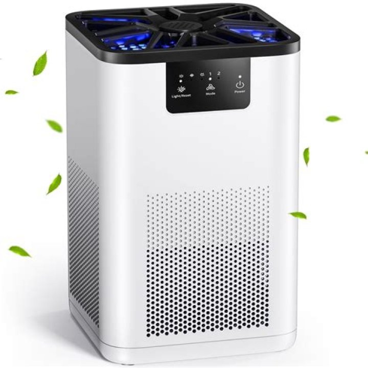 Does Walmart sell air purifiers?