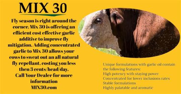 Is Mix 30 Liquid Feed safe for horses?