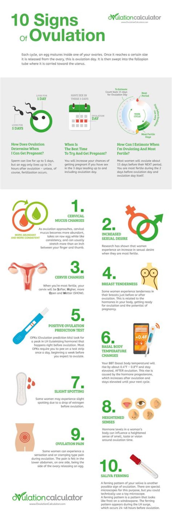 What happens when a woman is ovulating?