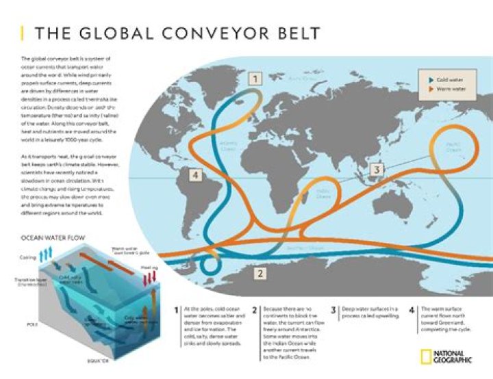 What is one global impact of the ocean conveyor belt?
